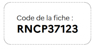 CFA IAF institut assur formation - formation bac +2 - formation bac - formation métier du transport - formation en entreprise - formation VAE - CFA : Centre de Formation par l'Apprentissage